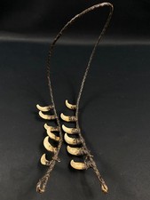 Collier tribal dents cochon