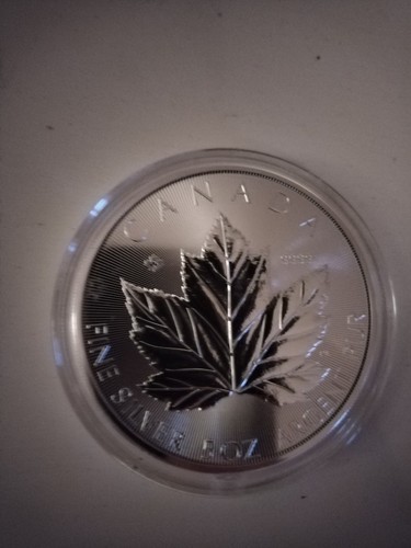Maple leaf 2026 - ,