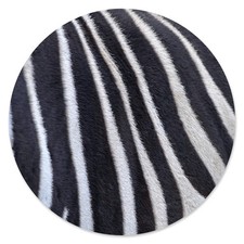 Tapis de Souris au Design de