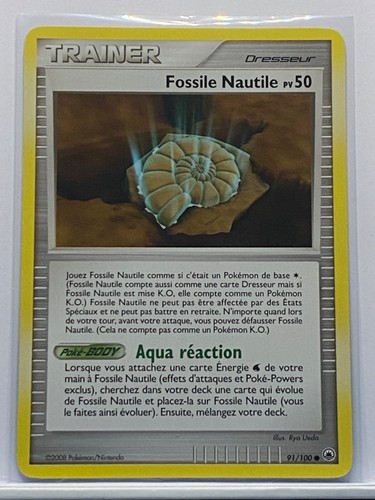 Fossile nautile 100 p - fossile,