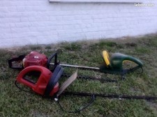 taille haie thermique