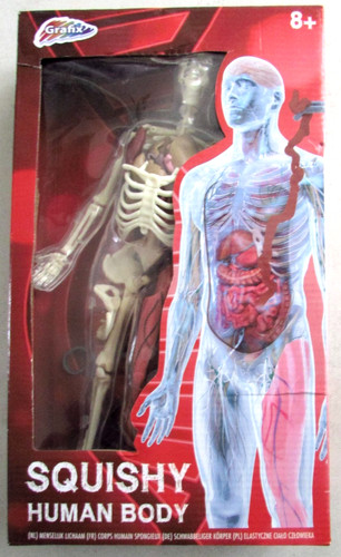 Jeu éducatif squishy human - jeu,