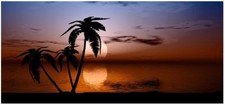 Tropical Sunset Camper RV motor home mural graphic