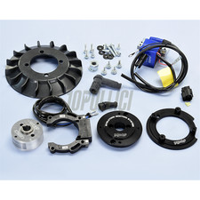 DIGITAL IGNITION POLINI VESPA