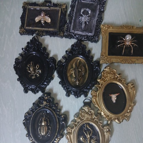 Tableaux insectes zut - 9,