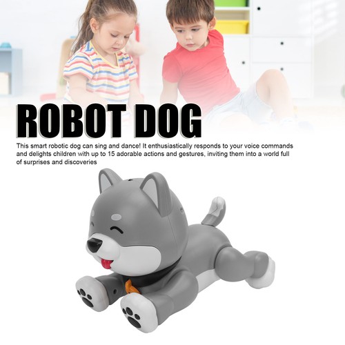 Chien robot husky - chien,