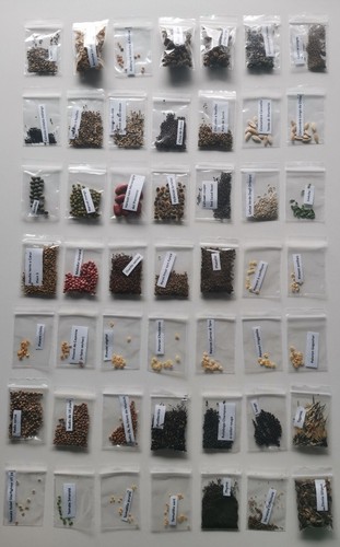 Collection graines - , 49