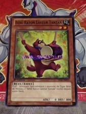 Yu Gi Oh BABY RACCOON TANTAN CARD SHSP-FR015 x 3