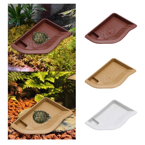 Bassin bain pour reptiles - bassin,