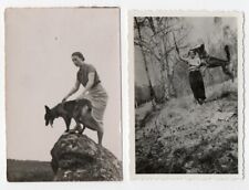 photo 2 anonymous prints 1940 woman dog trainer - German Shepherd