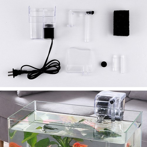 Fish tank hang external - fish, on