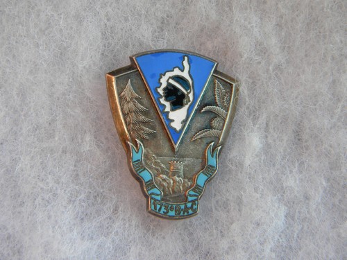Insigne militaire 173 - militaire, 173°