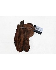 Racine Mangrove Aquavie