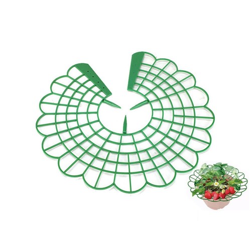 Support plante - plante, cage