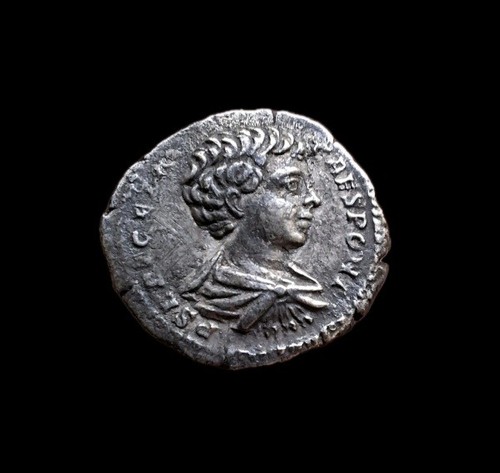 Denier geta principi - denier,