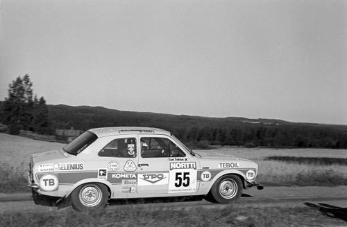 Kari makila tom - kari, tohtua