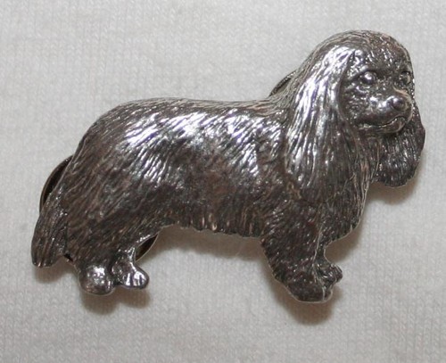 Cavalier king charles spaniel - cavalier,