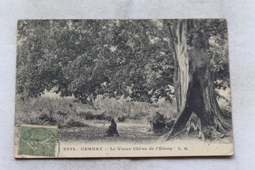Cernay vieux chêne de - vieux,