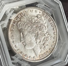 USA - Morgan Dollar 1880, San Francisco, MS63