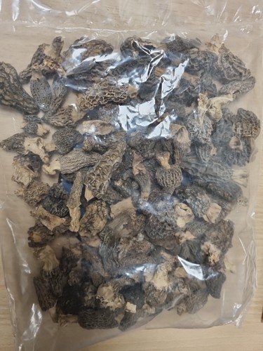 Morilles sechees 200 500 - 200, +