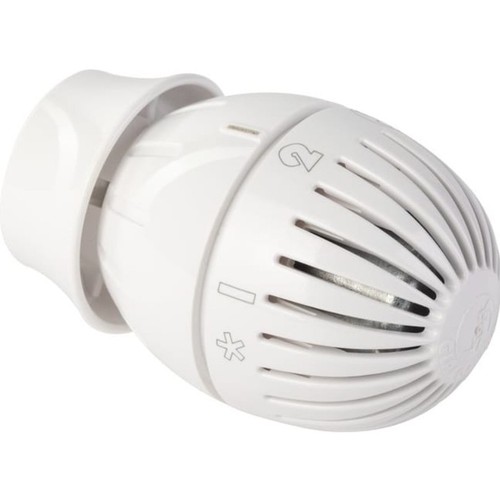 Giacomini r470 tête - giacomini,