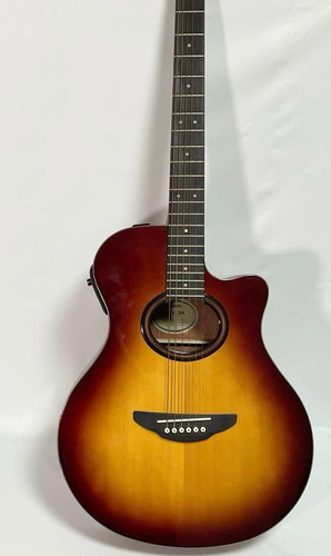 Guitare électrique acoustique