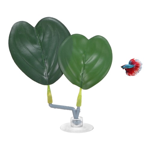 Pack feuille pour betta - 1-pack,