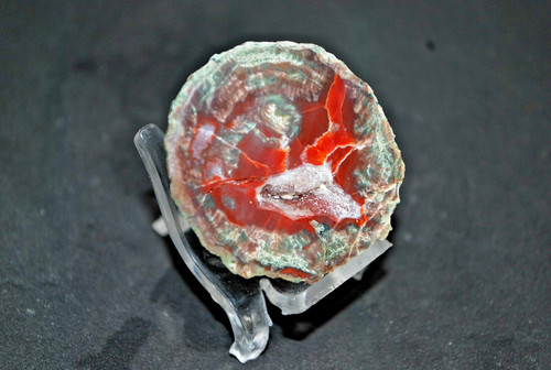 Agates fréjus - agates, var