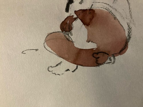 Très beau dessin aquarelle - dessin,