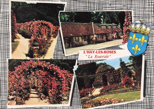 Hay les roses la - l,