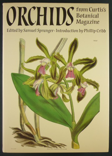 Orchids from curtis - from, curtis's