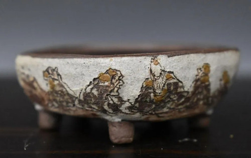 Pot bonsaï japonais chazan - pot,