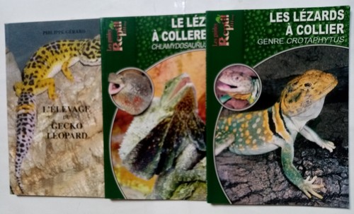 Lot gecko léopard lézards - gecko,
