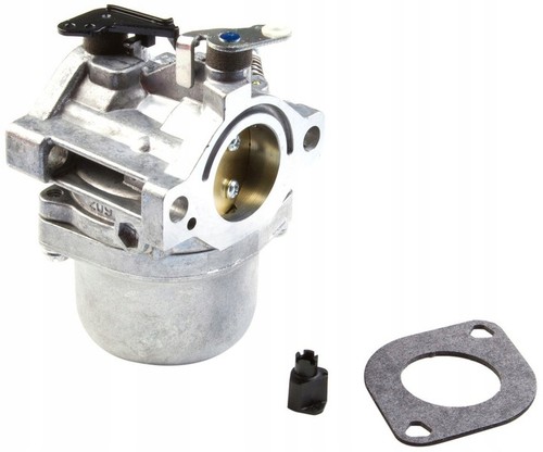 Carburateur briggs stratton - carburateur,