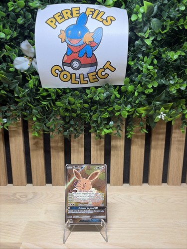 Carte pokémon - 🇫🇷,