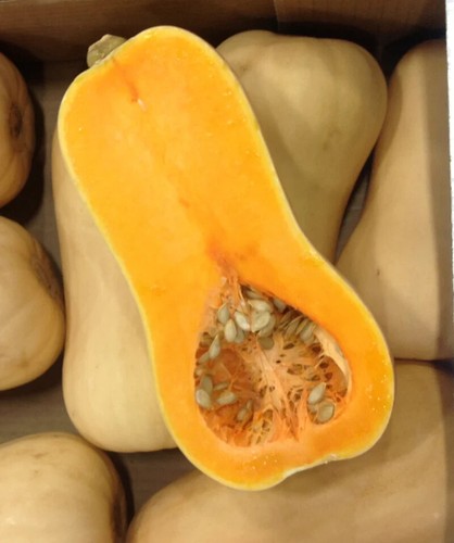 Graines citrouille - de,