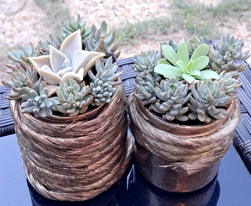 Lot petits pots - de,