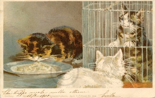 Carte postale ancienne cpa - carte,