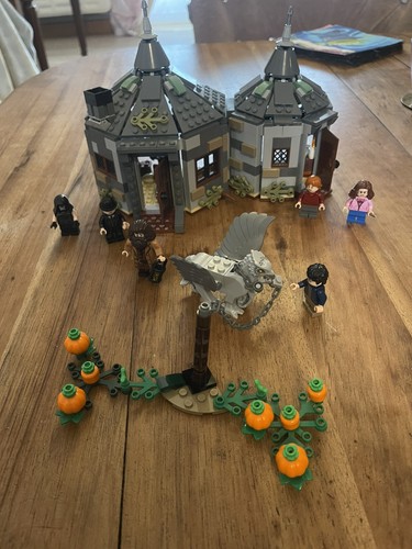 Lego harry potter cabane de - harry,