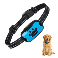 Puppy Safe Collier