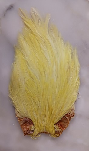 Cou coq plume pour la - cou, de