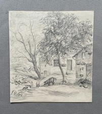 Cochons dans une cour de