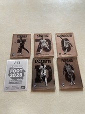 IMAGE STICKER PANINI FOOTBALL FRANCE LEAGUE 2023 BRILLIANT CRACK ART 1CHOICE