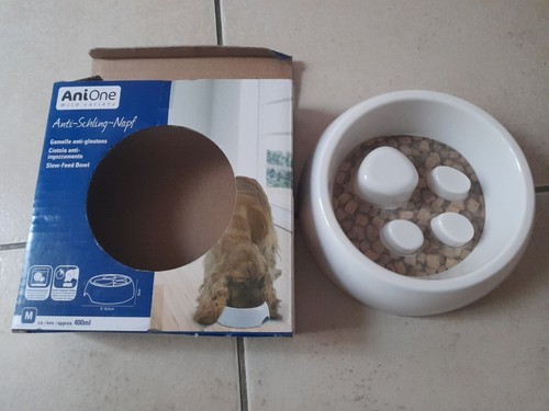Gamelle pour chien - gamelle,