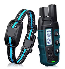 Collier Dressage Chien