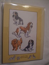 CARTE + ENVELOPPE - chien