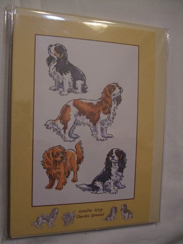 Carte enveloppe chien - carte,