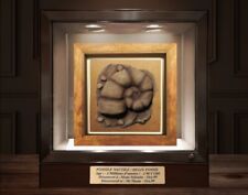 Pokémon 1:1 Fossile Nautile