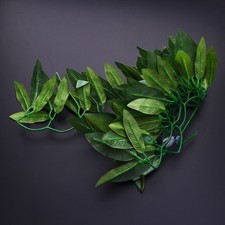  Décoration Aquarium Poisson