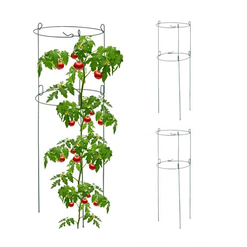 Tuteur tomate support - tomate, plante